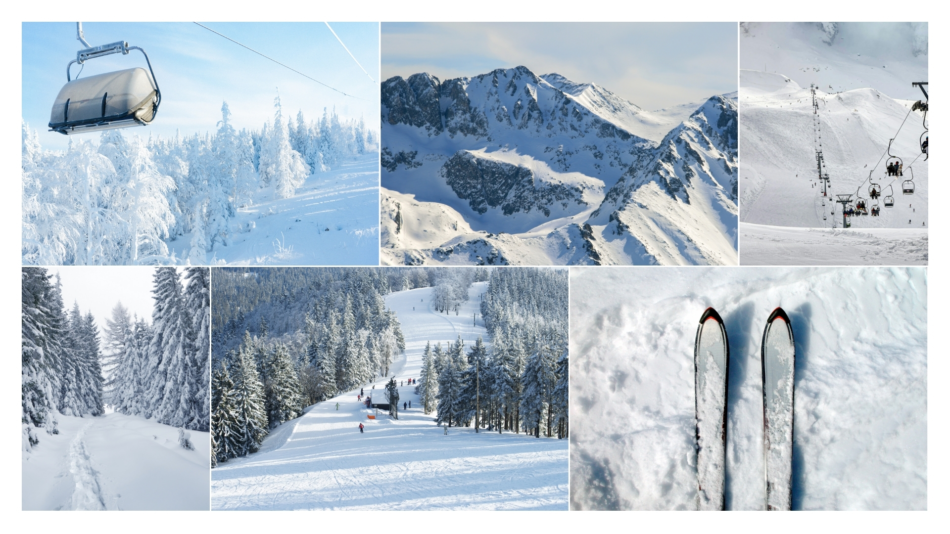 Ski